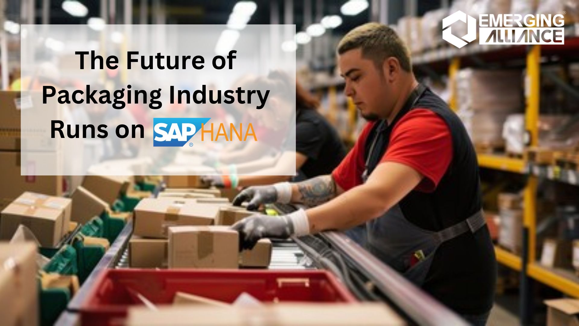 The Future of Packaging Industry Runs on SAP HANA