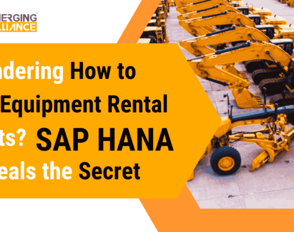 Cut Rental Costs? SAP HANA Reveals How