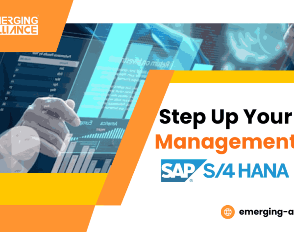 Step Up Your Data Management with SAP S4 HANA Now