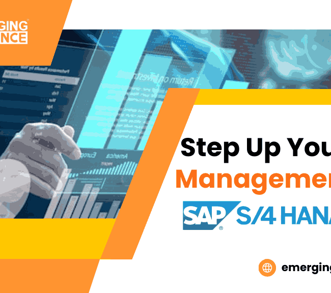 Step Up Your Data Management with SAP S4 HANA Now