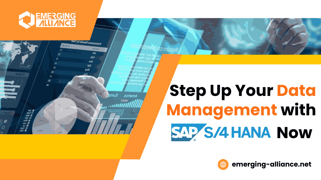 Step Up Your Data Management with SAP S4 HANA Now