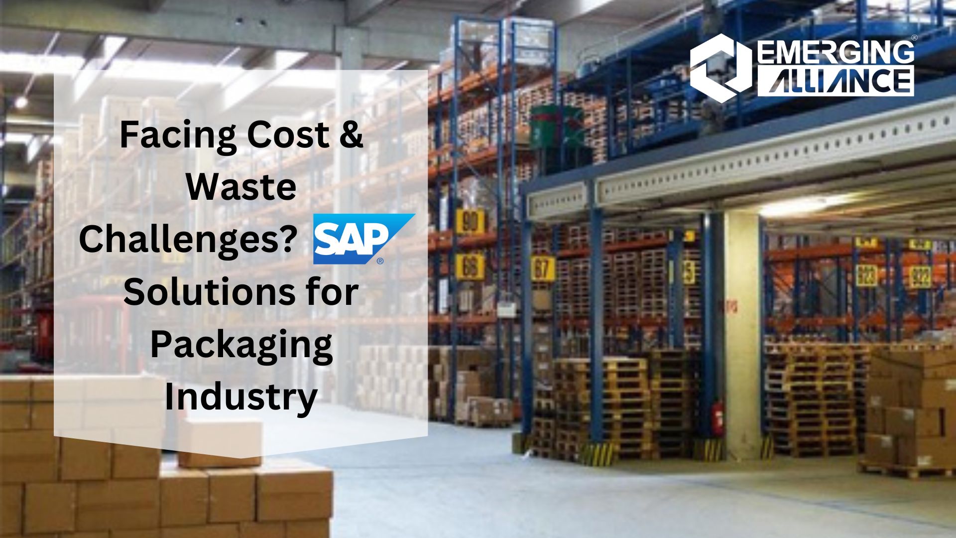 Facing Cost & Waste Challenges? SAP Solutions for Packaging Industry