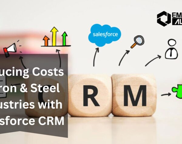 Reducing Costs in Iron & Steel Industries with Salesforce CRM