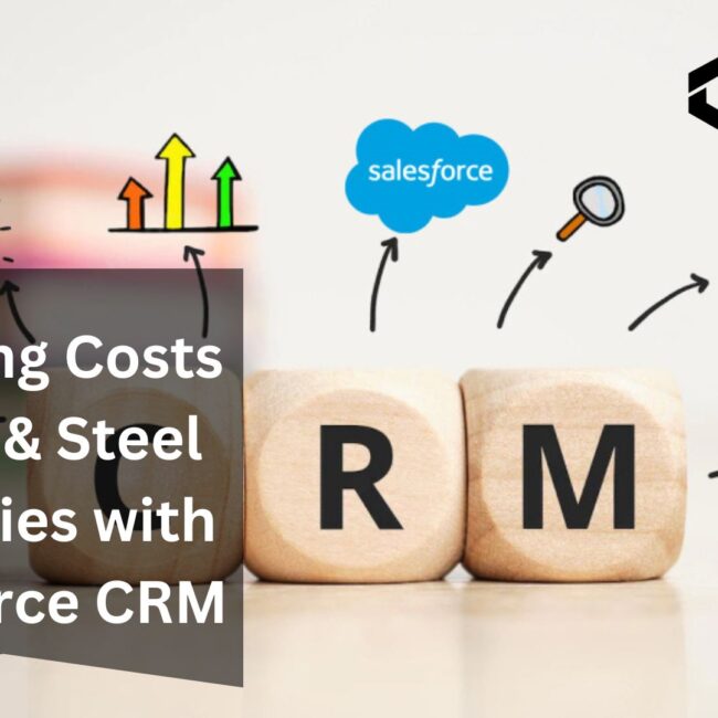 Reducing Costs in Iron & Steel Industries with Salesforce CRM