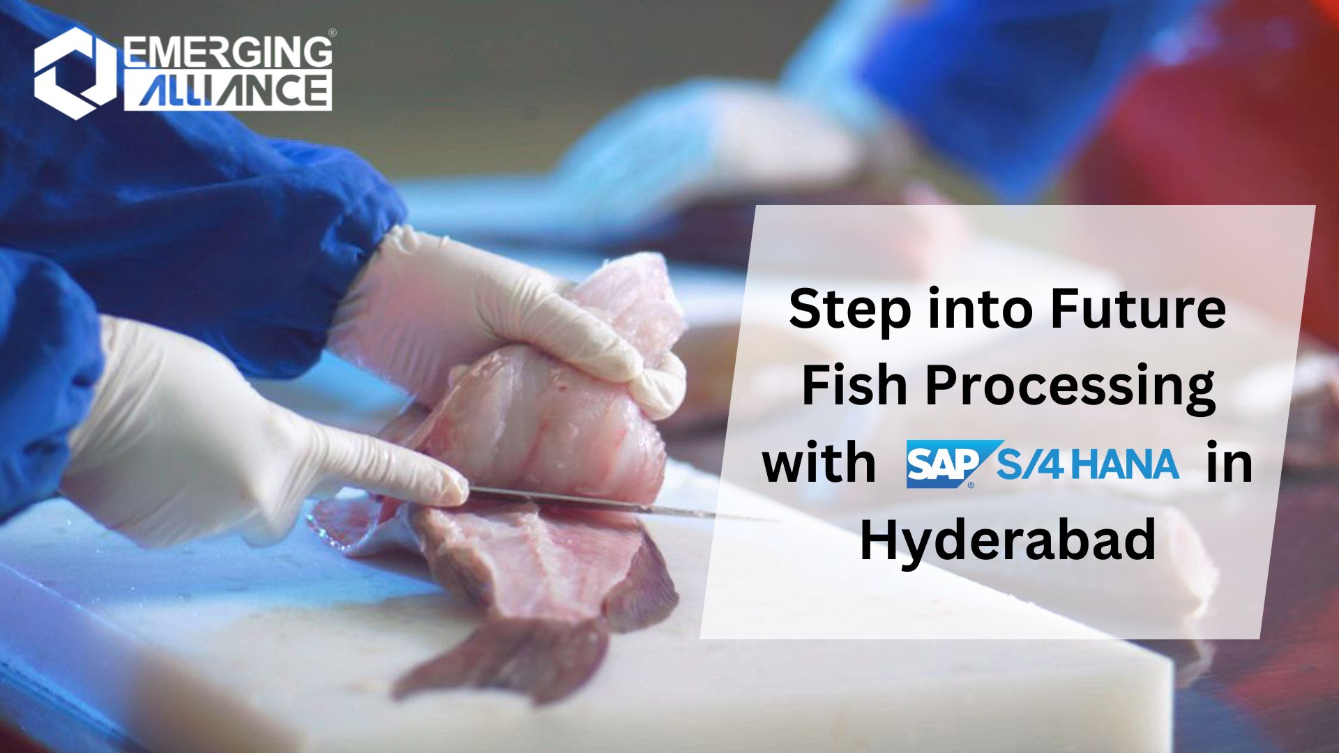 Step into Future Fish Processing with SAP S/4 HANA in Hyderabad