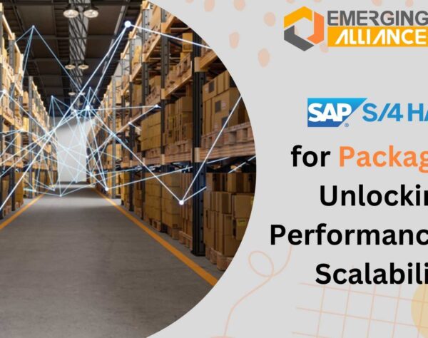 SAP S4 HANA for Packaging: Unlocking Performance and Scalability