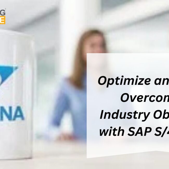 Optimize and Grow: Overcoming Industry Obstacles with SAP S/4 HANA