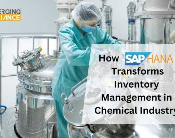 How SAP S/4 HANA Transforms Inventory Management in Chemical Industry