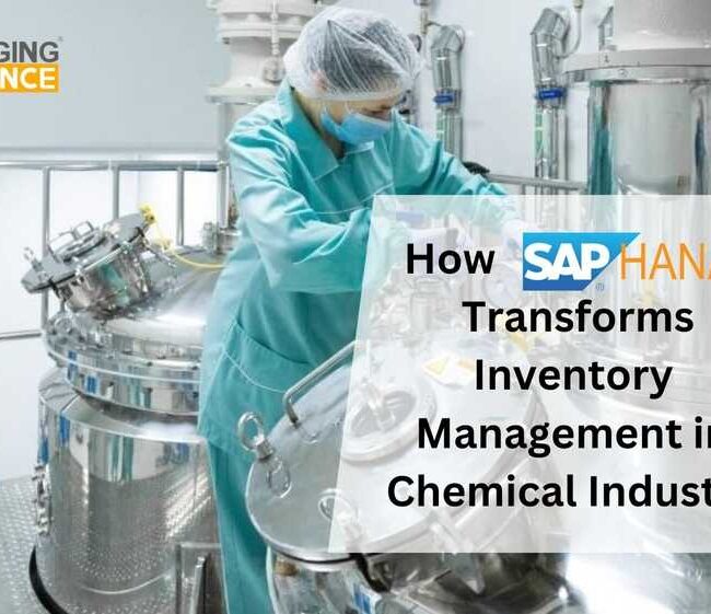 How SAP S/4 HANA Transforms Inventory Management in Chemical Industry