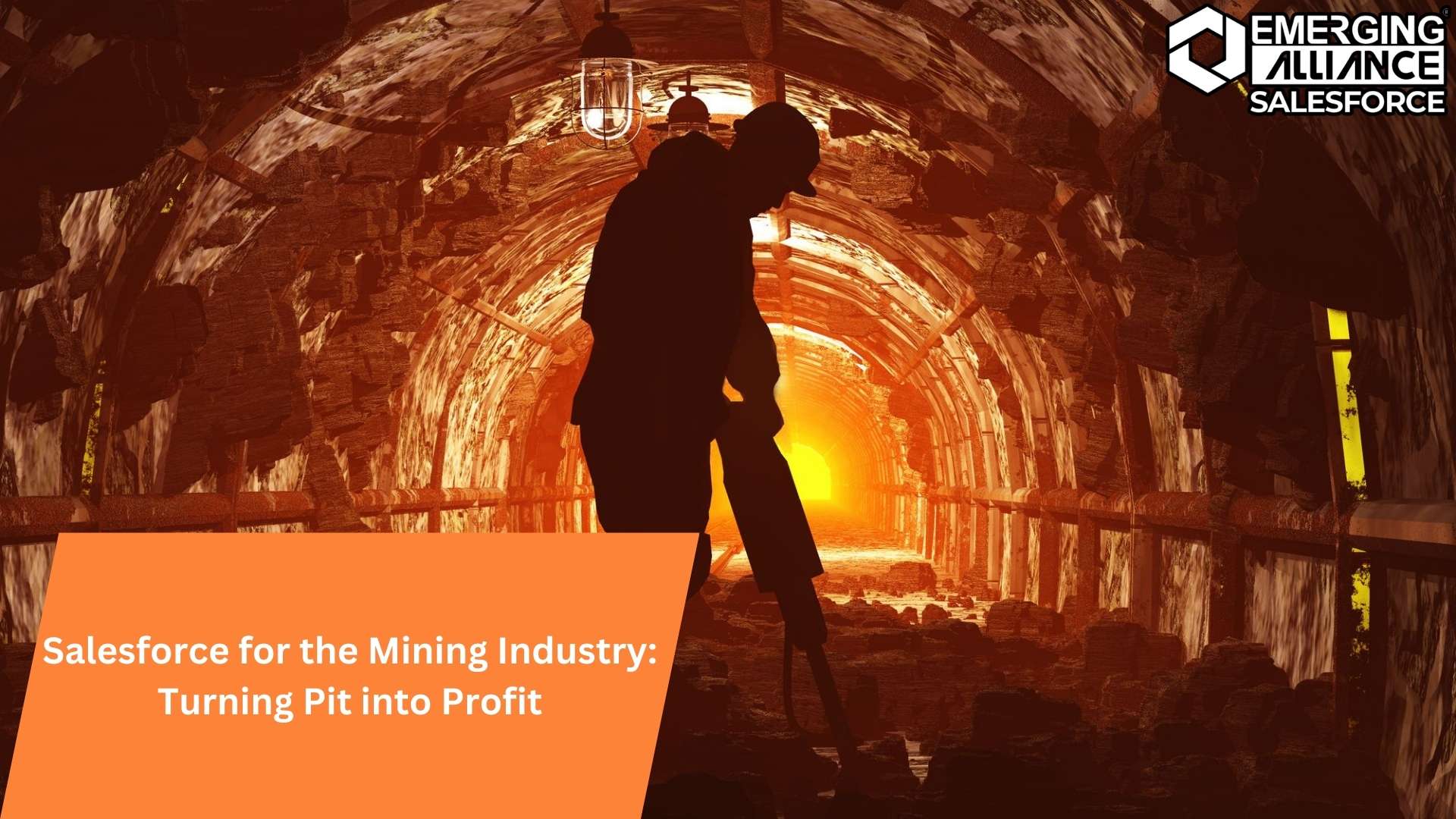 Salesforce for the Mining Industry: Turning Pit into Profit