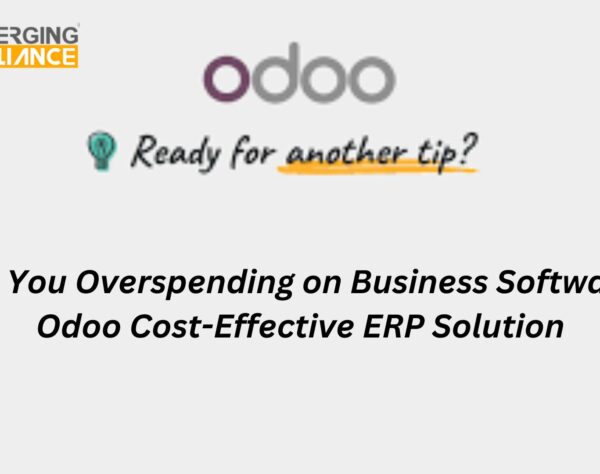 Are You Overspending on Business Software? Odoo Cost-Effective ERP Solution