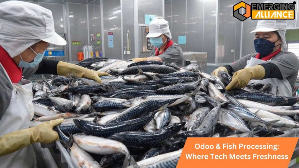 Odoo & Fish Processing: Where Tech Meets Freshness