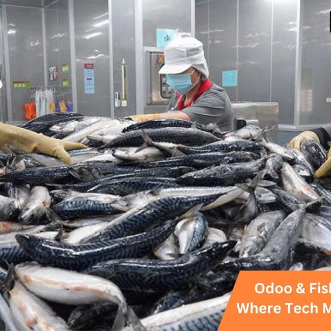 Odoo & Fish Processing: Where Tech Meets Freshness