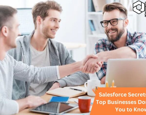 Salesforce Secrets: What Top Businesses Don't Want You to Know