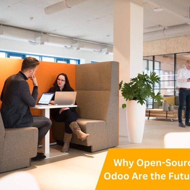 Why Open-Source ERPs Like Odoo Are the Future of Business