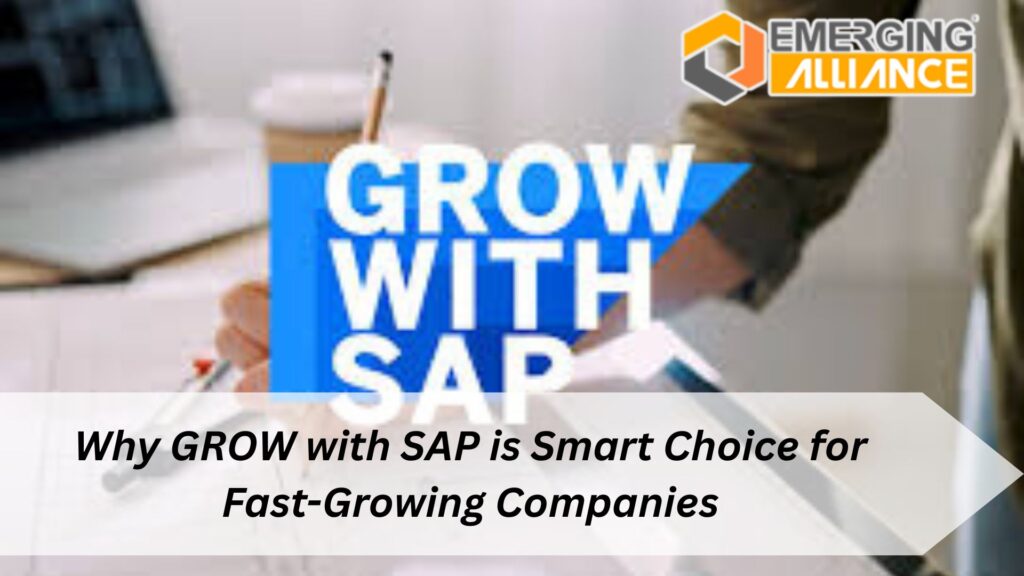 Why GROW with SAP is Smart Choice for Fast-Growing Companies