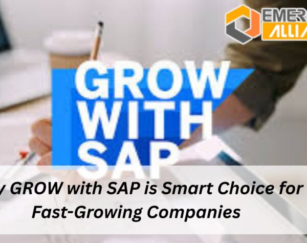 Why GROW with SAP is Smart Choice for Fast-Growing Companies