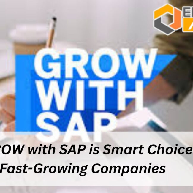 Why GROW with SAP is Smart Choice for Fast-Growing Companies