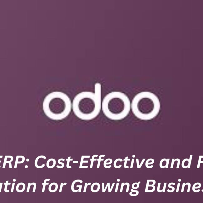 Odoo ERP: Cost-Effective and Flexible Solution for Growing Businesses
