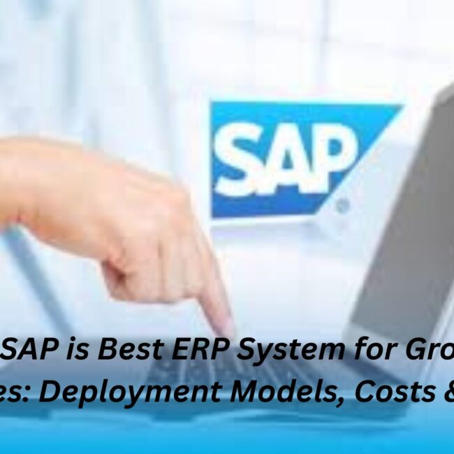 SAP remains the top ERP choice, how its deployment models work, and what to expect in terms of implementation costs