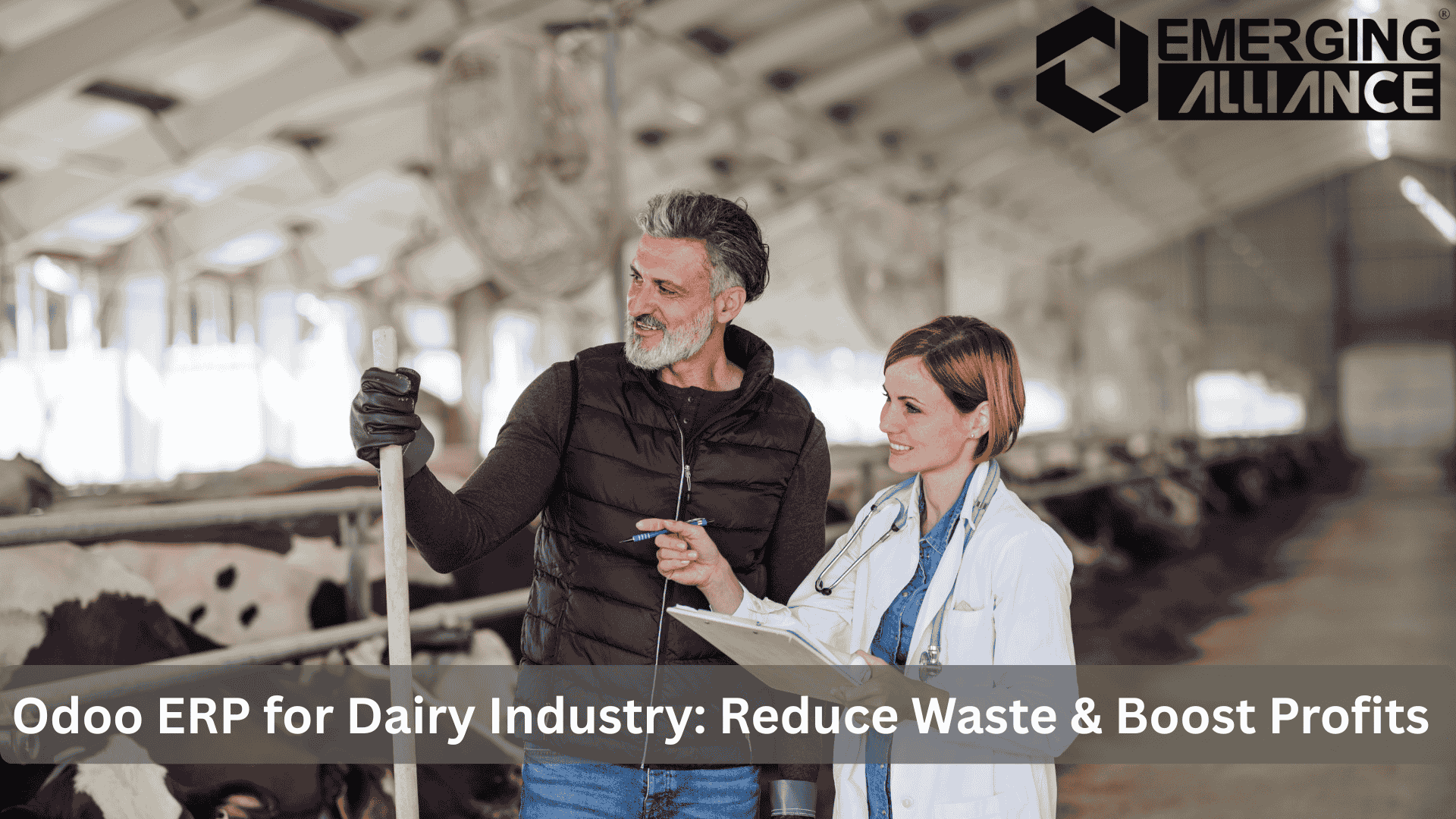 Odoo ERP for dairy industry improving milk production, reducing waste, and boosting profits