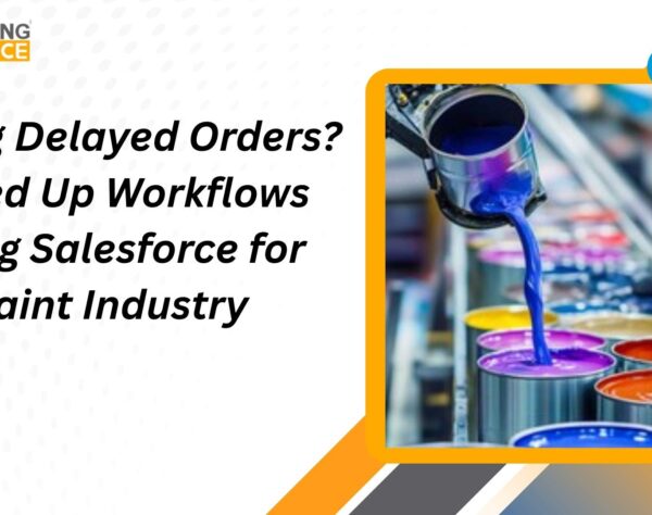 Salesforce for Paint Industry system dashboard showing automated sales, order tracking, and dealer management features