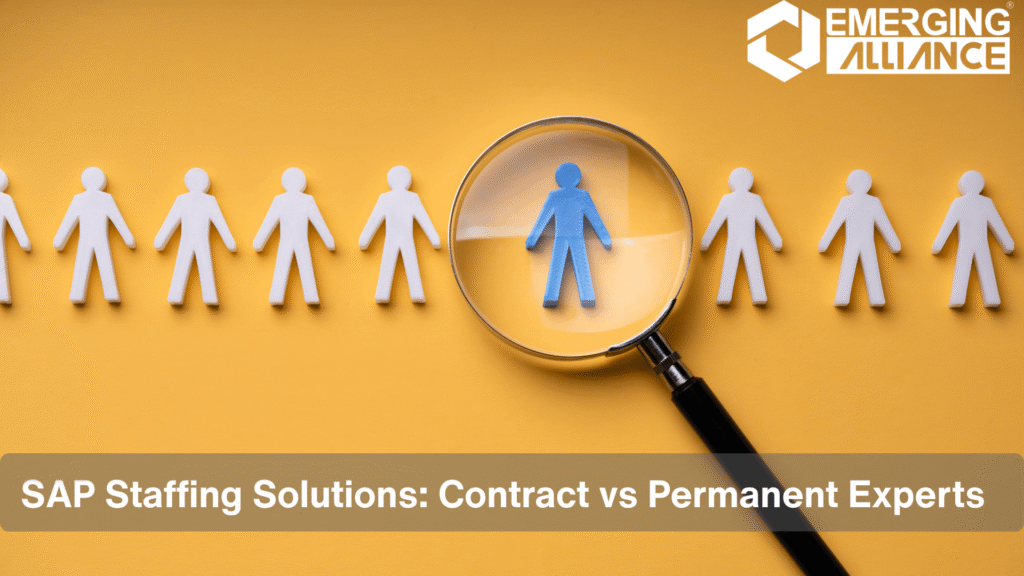 Team of SAP professionals providing Contract SAP staffing solutions for enterprise projects