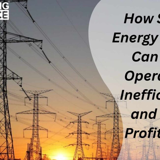 SAP for Energy Industry software improving operational efficiency and profitability in the energy sector