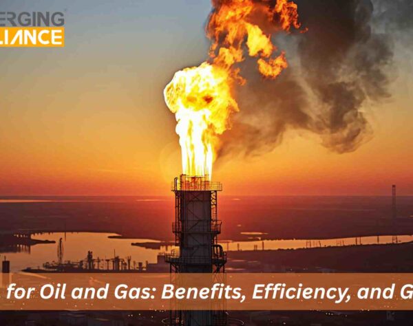 SAP B1 for Oil and Gas ERP solution improving efficiency and resource management
