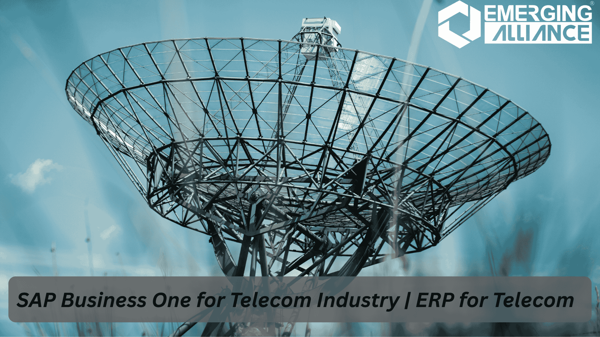 SAP Business One dashboard showing streamlined telecom industry operations and real-time business insights