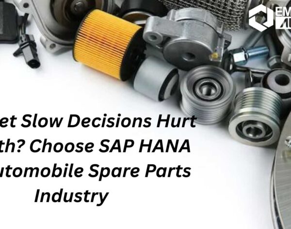 SAP HANA for Automobile Spare Parts Industry enabling real-time inventory management and supply chain optimization