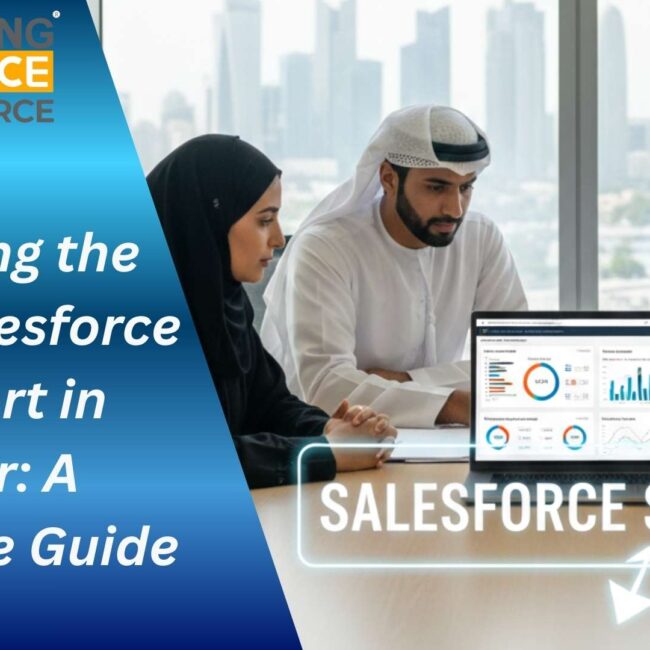 Salesforce support Qatar solutions provided by Emerging Alliance for business growth