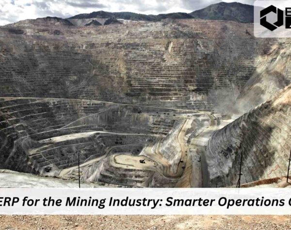 Odoo ERP dashboard for mining industry asset inventory and workforce management