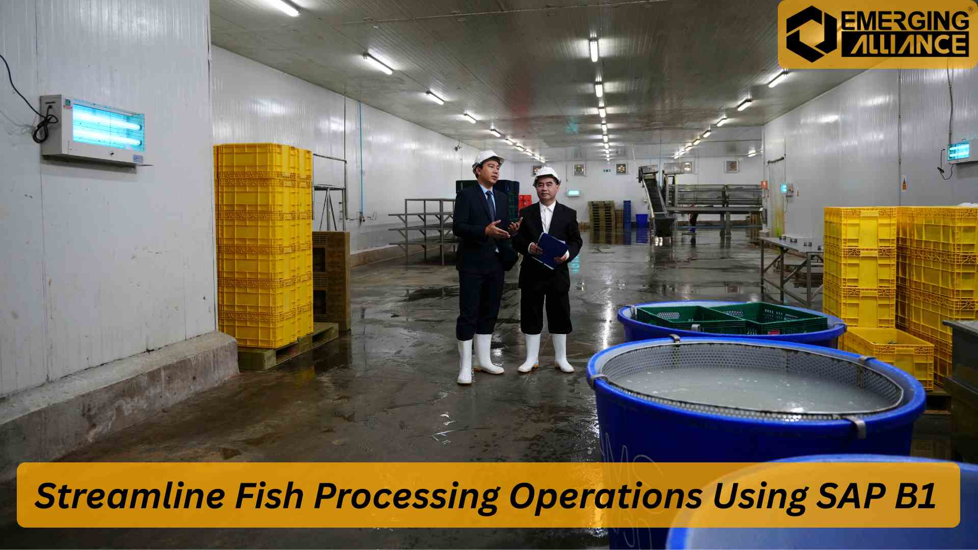 Optimized fish processing operations with SAP Business One for small and medium businesses