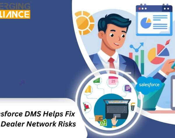 Salesforce Dealer Management System dashboard showing dealer sales, inventory, and performance insights across dealership networks.