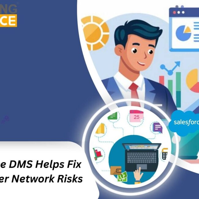 Salesforce Dealer Management System dashboard showing dealer sales, inventory, and performance insights across dealership networks.