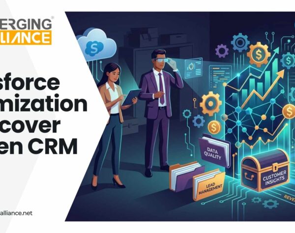 Salesforce Optimization dashboard showing ROI tracking, license usage, and CRM performance insights