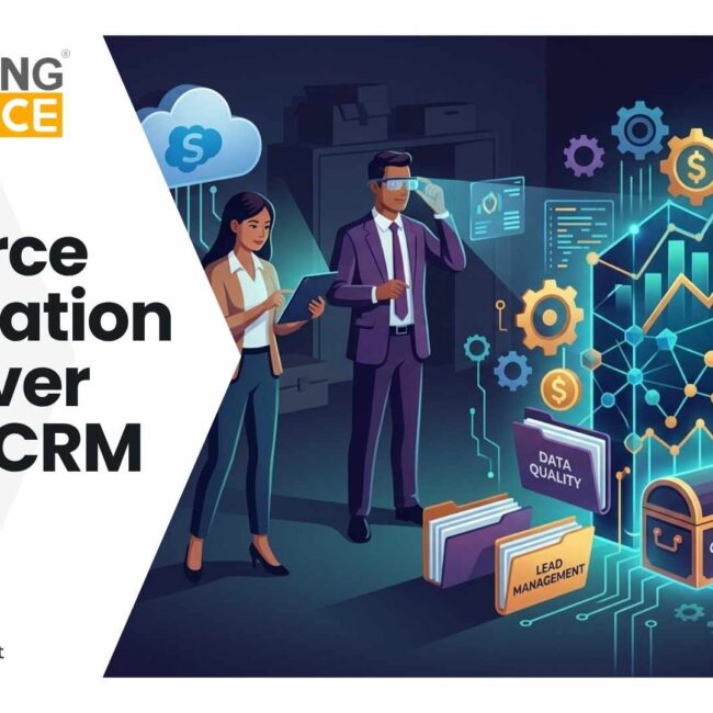 Salesforce Optimization dashboard showing ROI tracking, license usage, and CRM performance insights