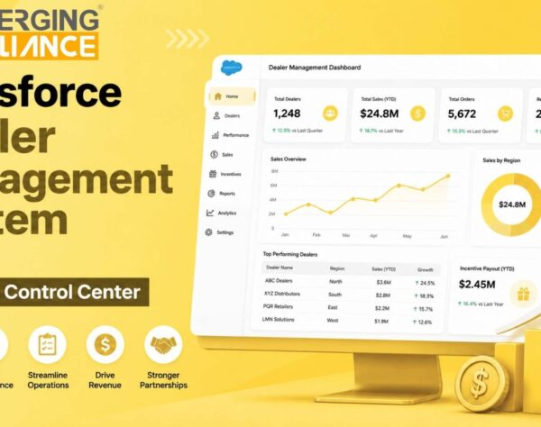 Salesforce Dealer Management System
